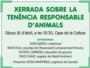 L'Alcúdia celebra demà una xerrada sobre la tinença responsable d'animals