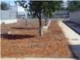 L'IES Almussafes crea un hort ecològic per als alumnes de FP Bàsica