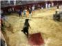 Llopis manifiesta que “la prohibición de los toros en Alzira pretende prohibir el derecho individual de las personas”