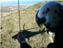 Rescaten amb helicòpter a una dona en la muntanya de Cullera (VÍDEO)