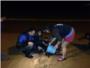 Rescaten un dofí a la platja de Cullera