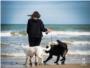 ¿Se pueden pasear perros por las playas?