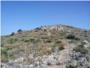 Segons La Ribera en Bici: “Necessitem un Pla Forestal Valencià”