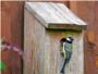 SEO BirdLife lanza una campaa en la que invita a crear 'Jardines con aves, ciudades con vida'