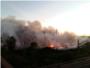 Un incendi, iniciat en la vesprada d'ahir, afecta de nou una fàbrica de fusta a Sollana